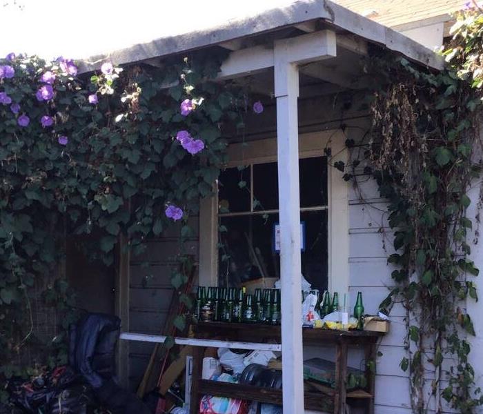 house with vines and flowers surround the outside of the house