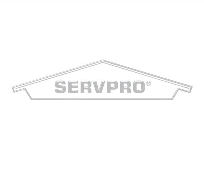 see though SERVPRO Logo