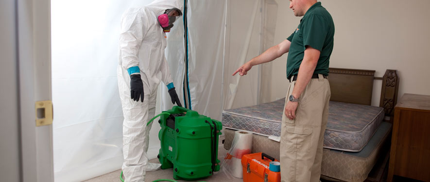 Atascadero, CA mold removal process